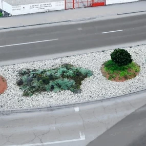 Szatmárnémeti zöldövezetei, szebbek és tisztábbak!